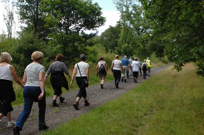 Walking Group Web