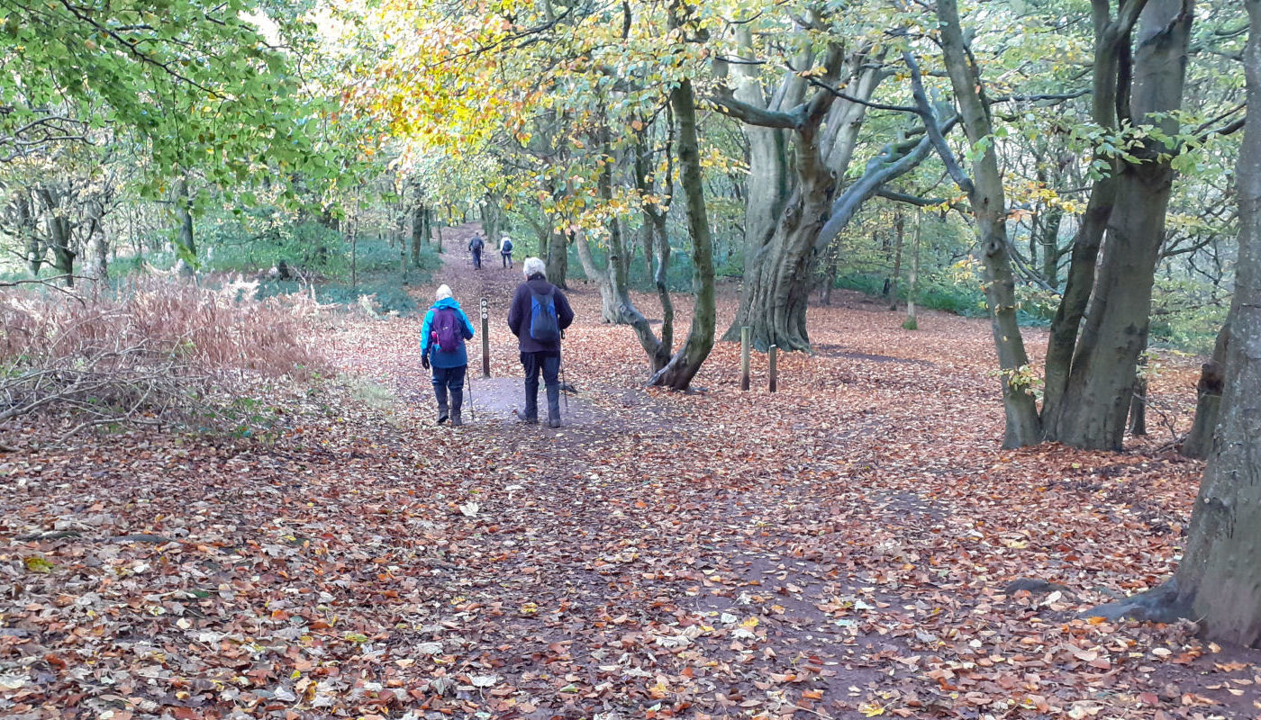 Clent